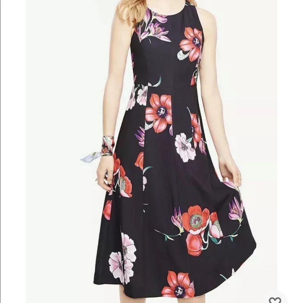 Ann Taylor Black Bow Open Back Floral Fit & Flare Midi Dress Sz 4